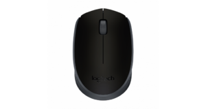 MOUSE LOGITECH WIRELESS N USB M170